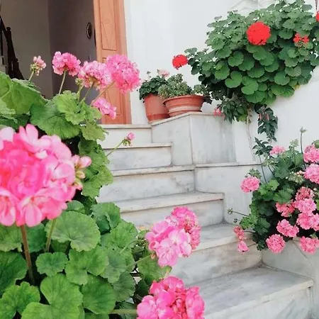 Apartamento Anesis